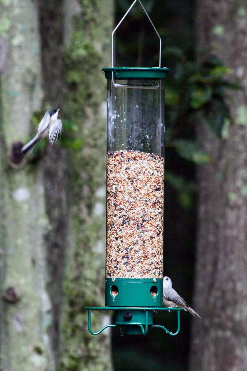 A real photo of  Droll Yankees® Yankee Flipper® Squirrel-Proof Bird Feeder - 5 lb by Ron (2)