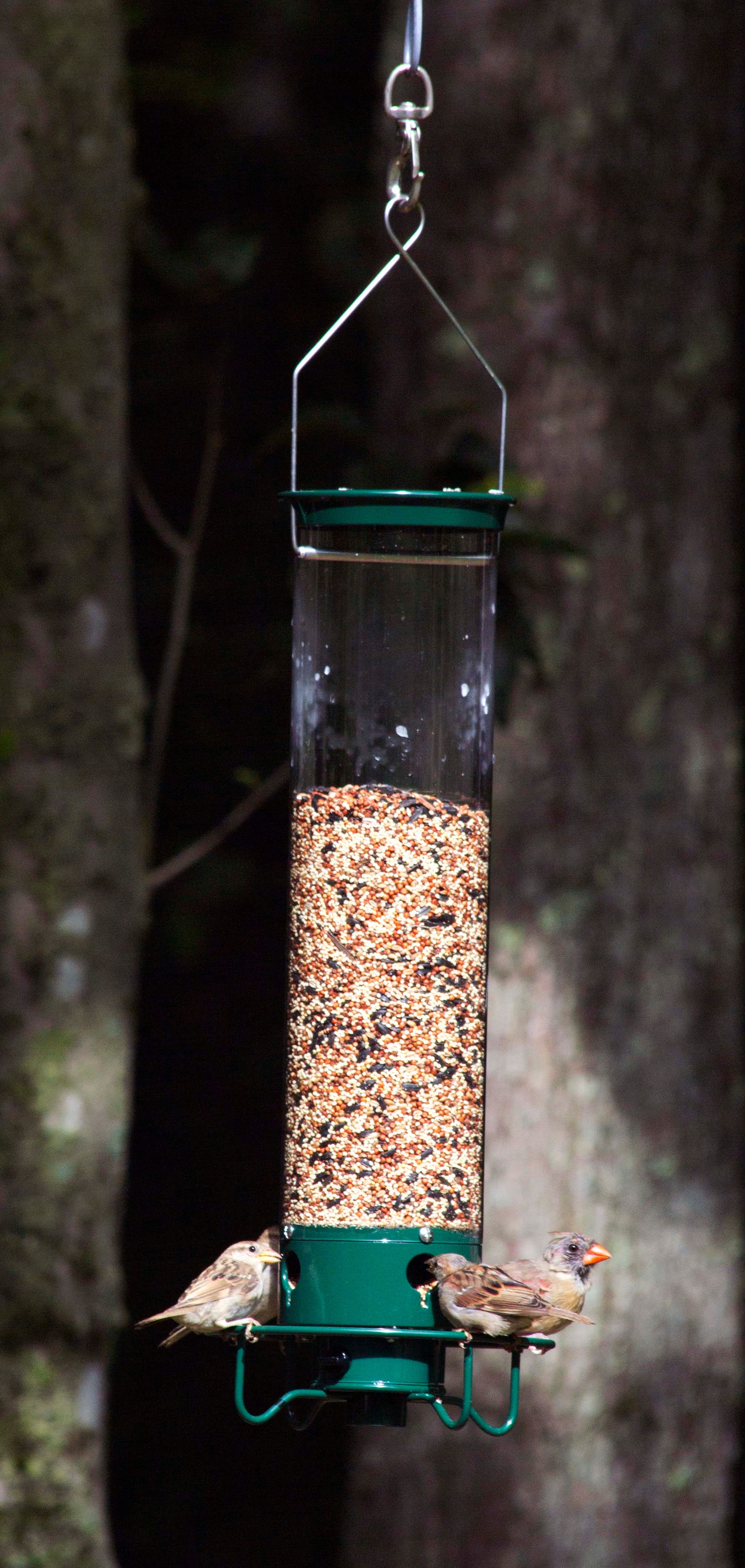 A real photo of  Droll Yankees® Yankee Flipper® Squirrel-Proof Bird Feeder - 5 lb by Ron (4)