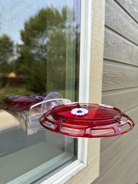 A real photo of  More Birds® Bird Health 3-in-1 Hummingbird Feeder - 6 oz by Charizard23 (1)