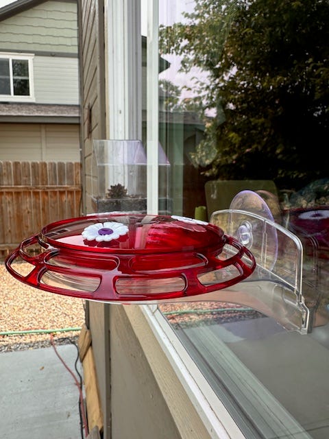 A real photo of  More Birds® Bird Health 3-in-1 Hummingbird Feeder - 6 oz by Charizard23 (2)