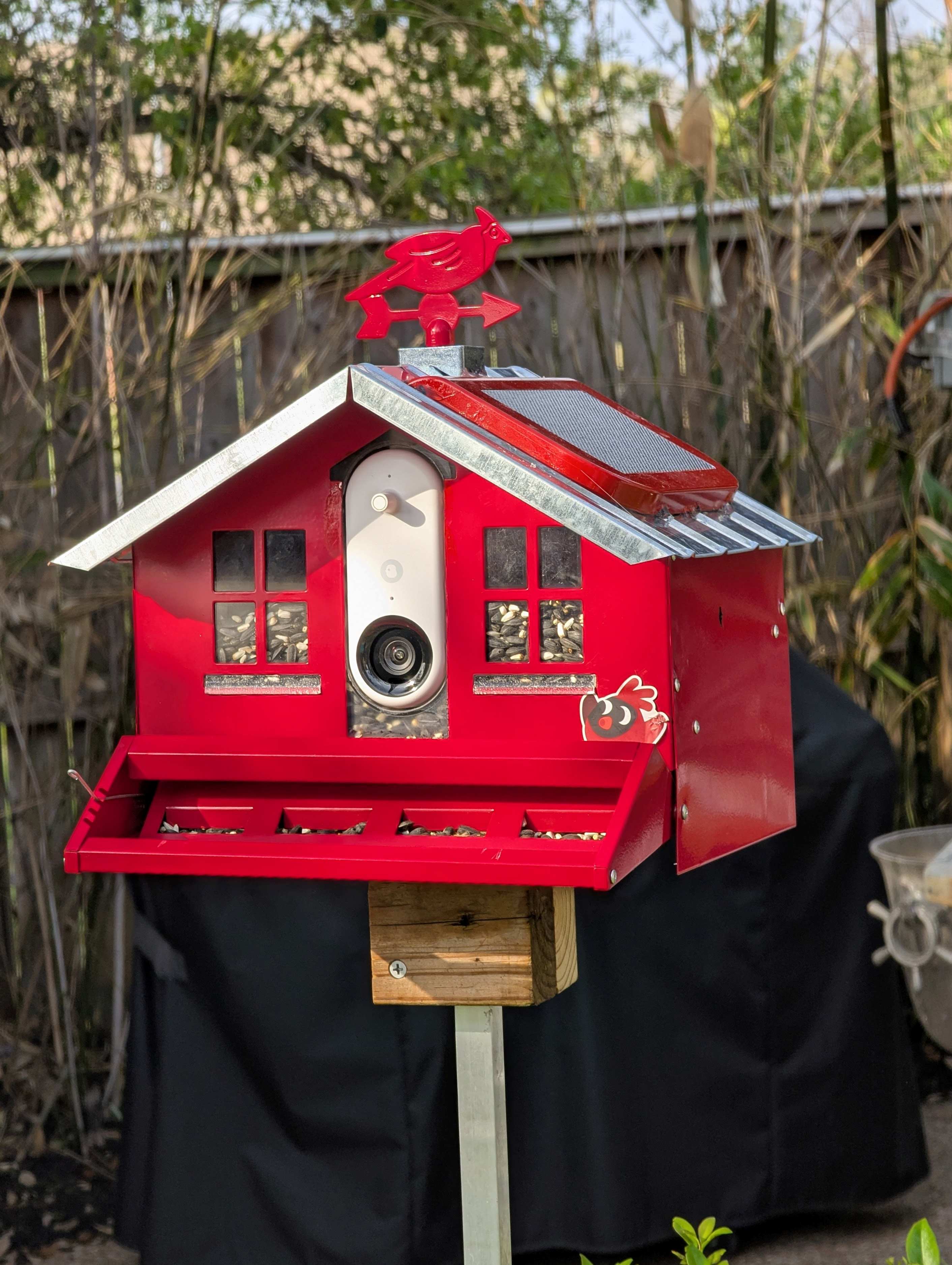 A real photo of  Perky-Pet® Squirrel-Be-Gone II Country House Wild Bird Feeder by MDKnight (1)