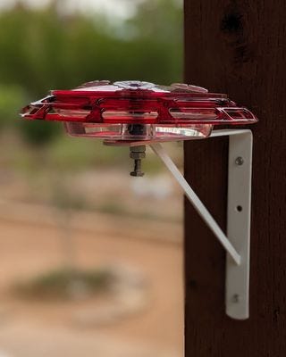 A real photo of  More Birds® Bird Health 3-in-1 Hummingbird Feeder - 6 oz by Az_Wildlife_Fan (2)