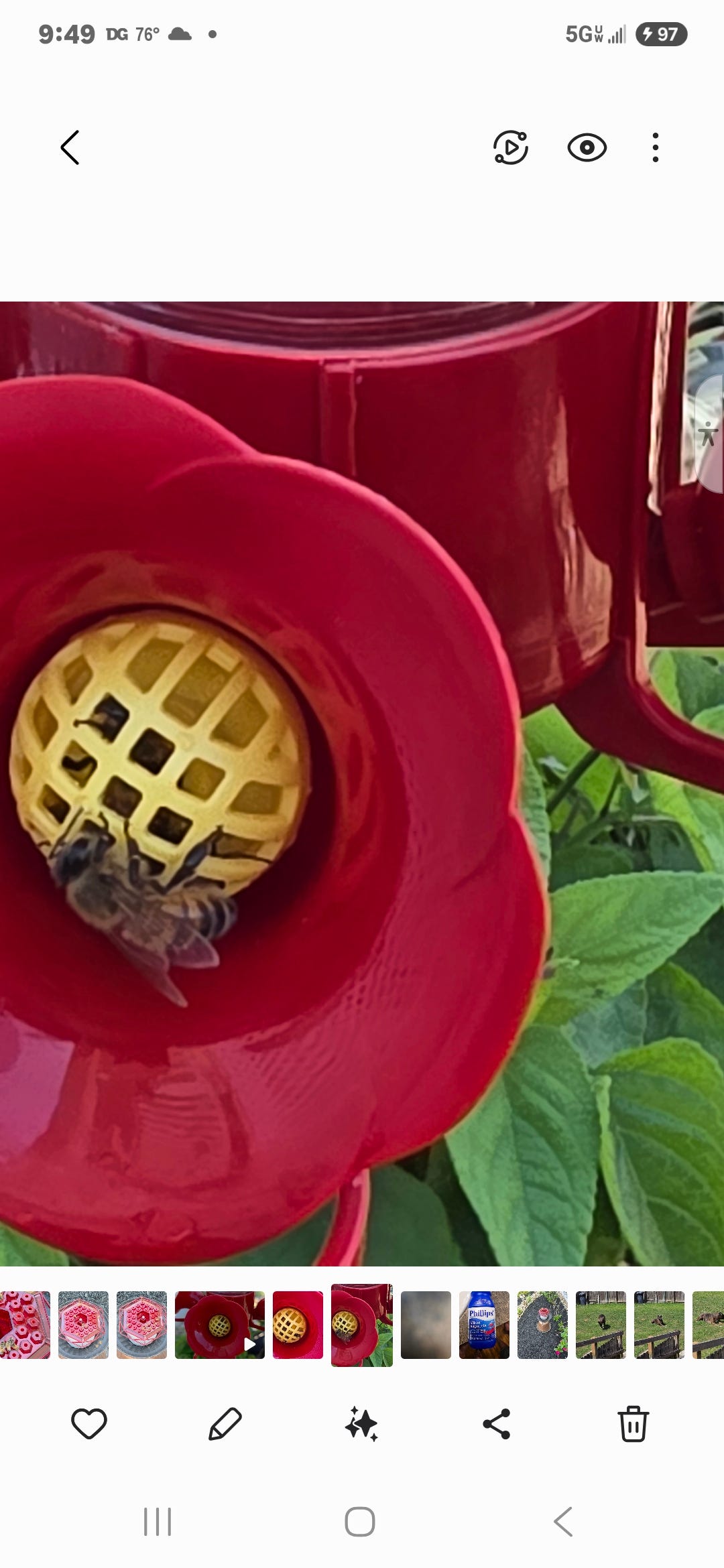 A real photo of  Perky-Pet® Pinch-Waist Glass Hummingbird Feeder - 8 oz Nectar Capacity by Debbie (1)