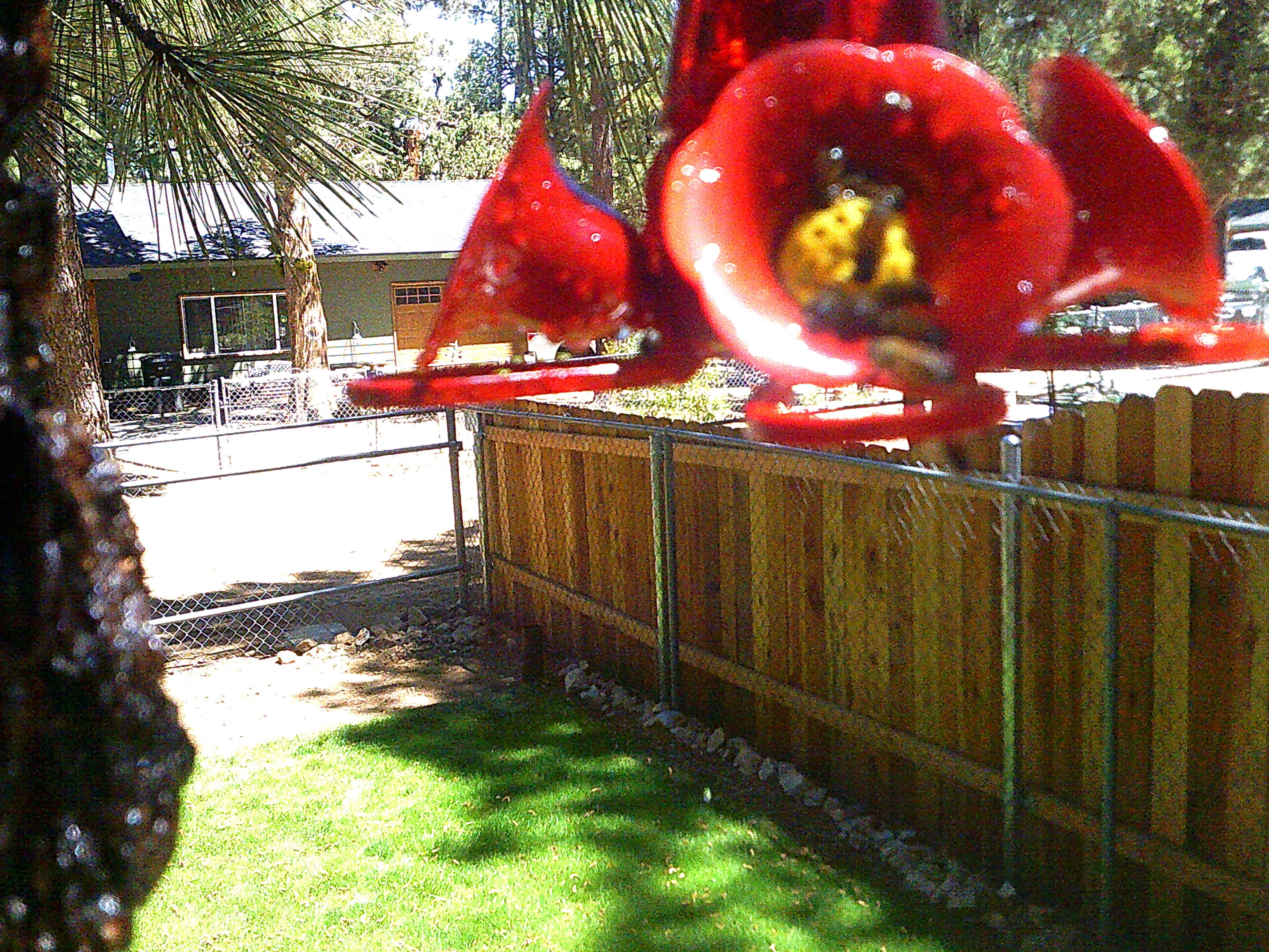A real photo of Perky-Pet® Pinch-Waist Red Glass Hummingbird Feeder - 8 oz Nectar Capacity by Scott (1)