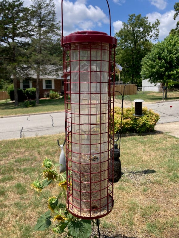 A real photo of  Perky-Pet® Easy Feeder by Bob2 (3)