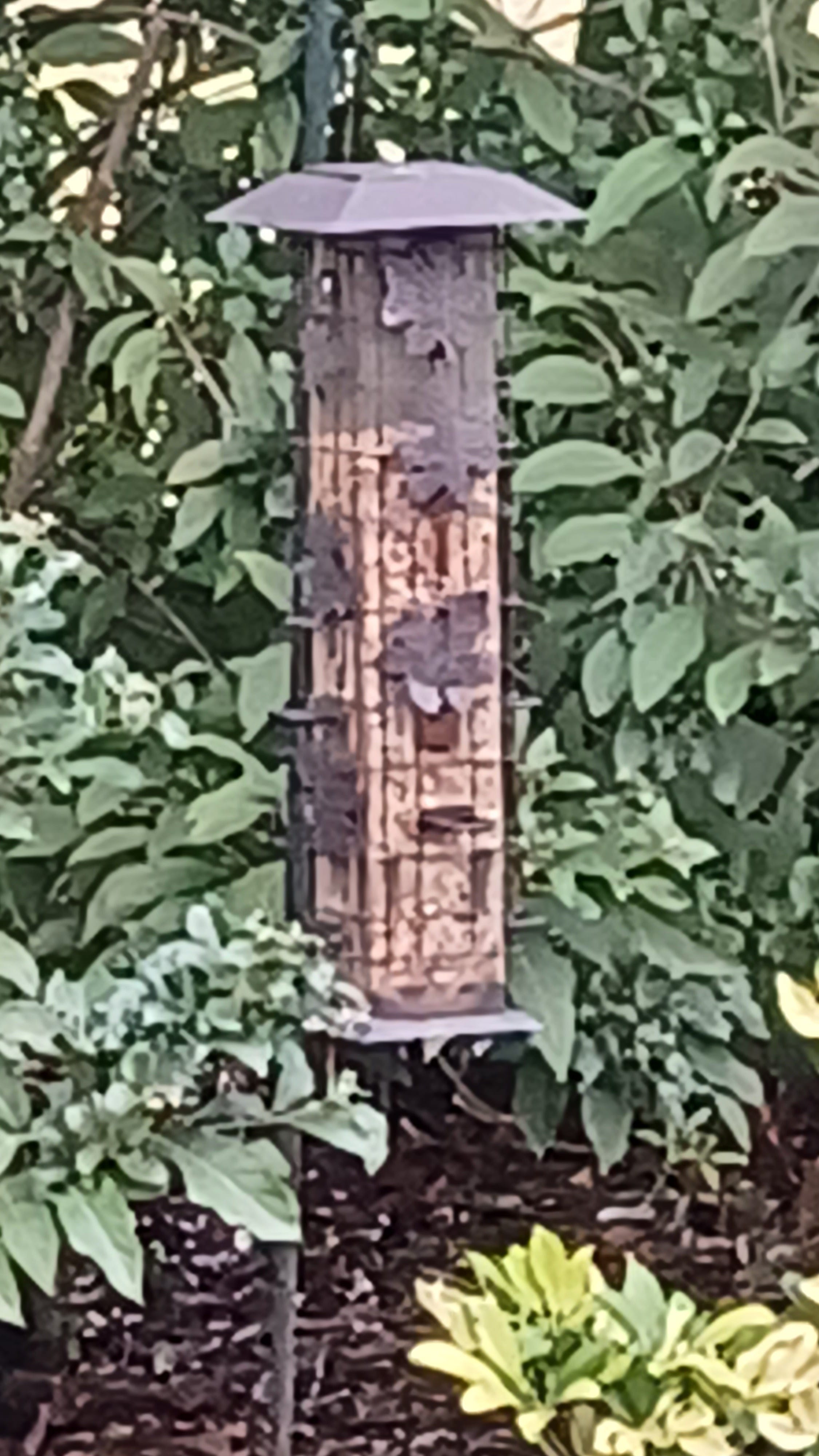 A real photo of  Perky-Pet® Squirrel-Be-Gone® Wild Bird Feeder by Luann (2)