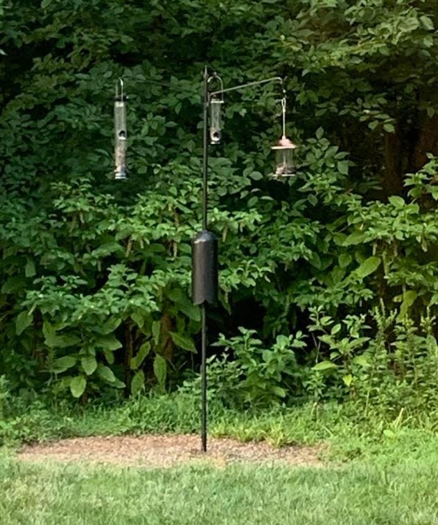 A real photo of  Droll Yankees® Onyx Clever Clean & Fill® Sunflower Tube Bird Feeder - 2 lb by sewchic11 (1)