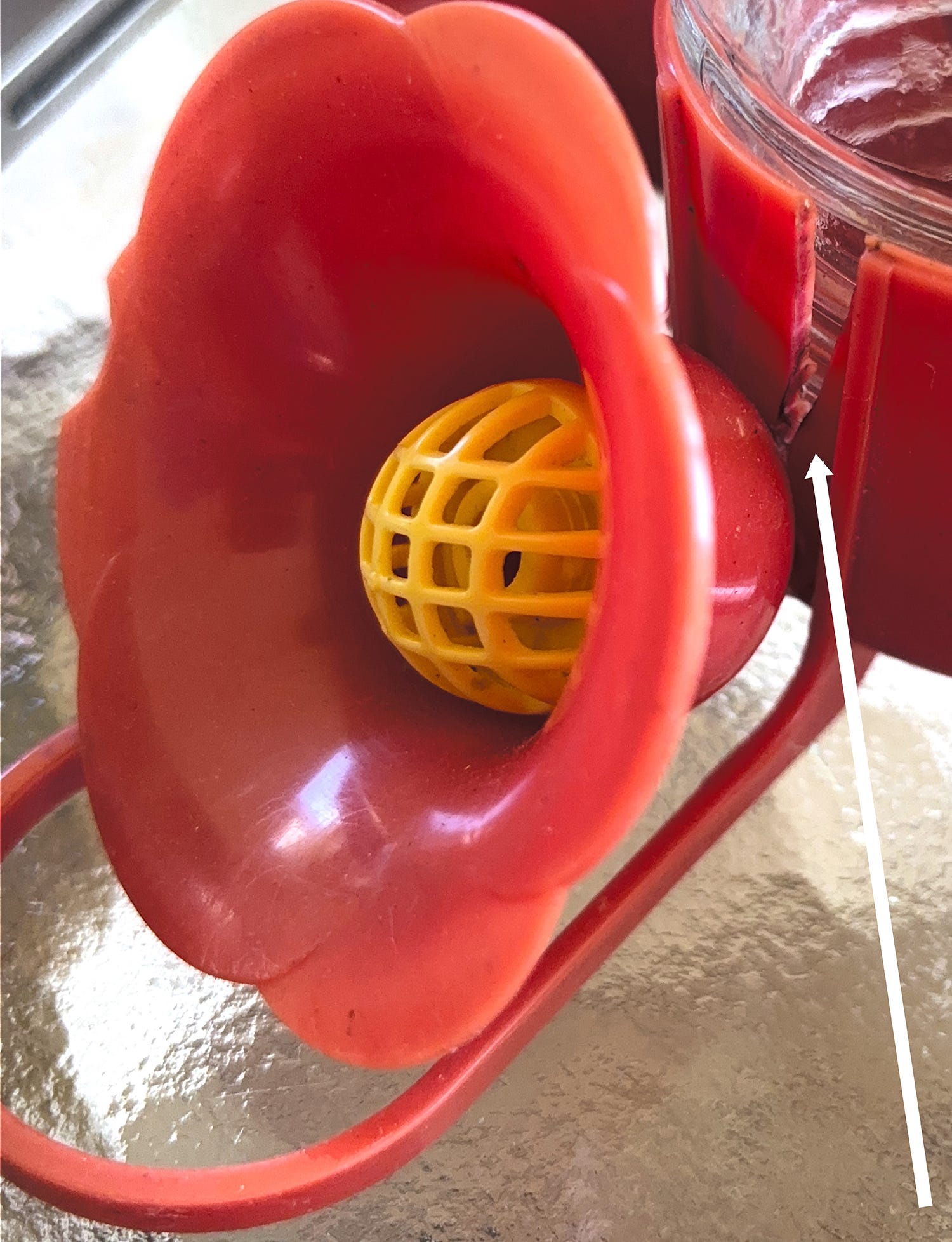 A real photo of  Perky-Pet® Pinch-Waist Glass Hummingbird Feeder - 8 oz Nectar Capacity by RockRoy (1)