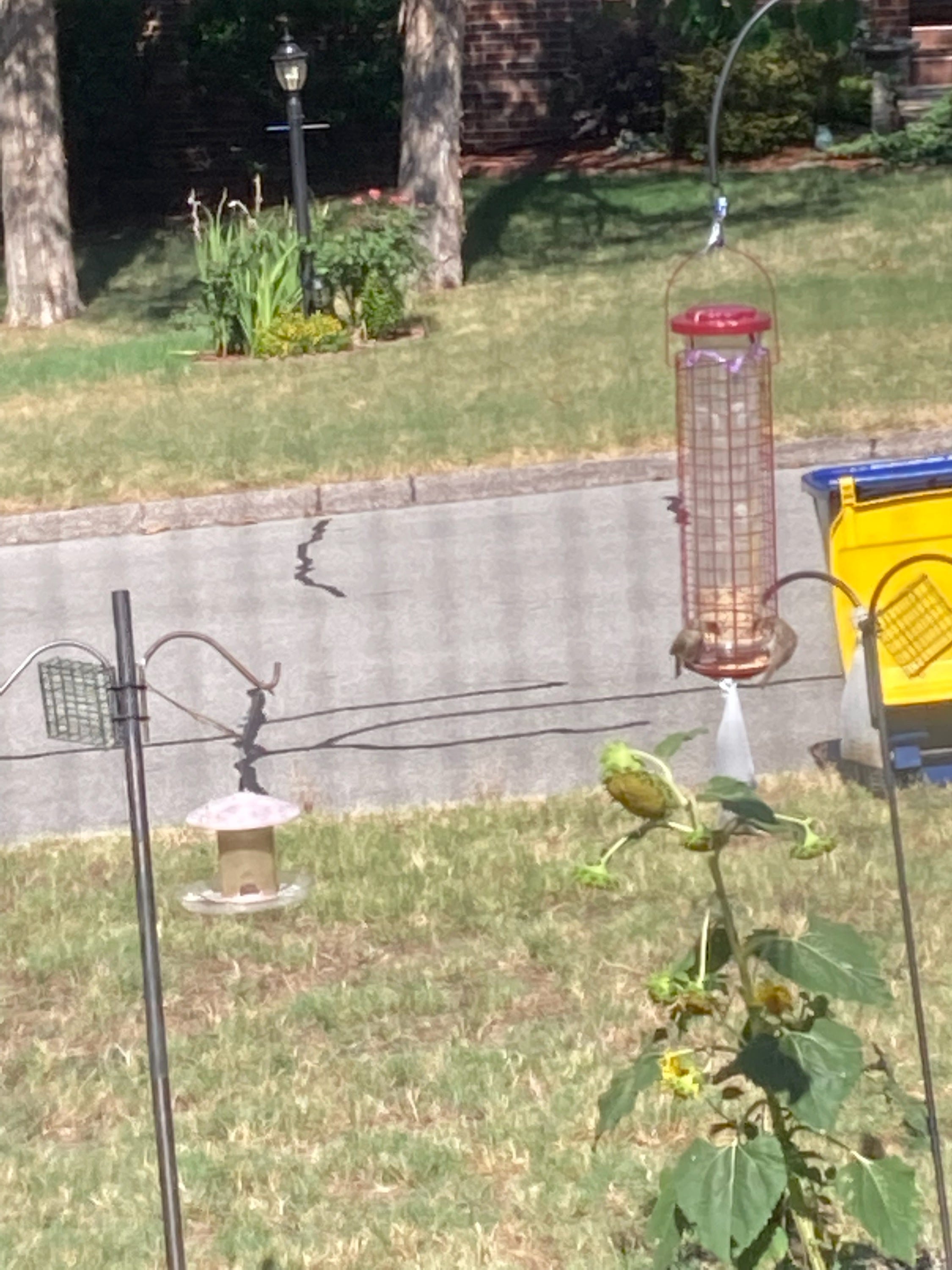 A real photo of  Perky-Pet® Easy Feeder by Bob2 (1)