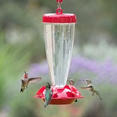 Perky-Pet&reg; Top Fill Hummingbird Feeder