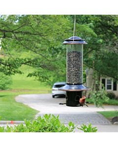 Squirrel-X MX5 Squirrel-Resistant Bird Feeder with Spring-Loaded Perches - 3.4  lb, Lifestyle