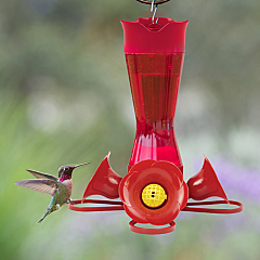 Perky-Pet® Pinch-Waist Glass Hummingbird Feeder, Red or Clear