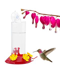 Window Hummingbird Feeder Perch - Clear Window Bird Feeder - Starcrest