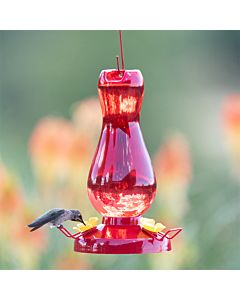 Perky-Pet® Ruby Red Plastic Hummingbird Feeder - 19 oz, LIfestyle