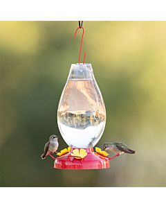  Hpycohome Hummingbird Ant Guard, Strong Protective