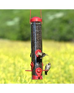 Perky-Pet® Red 2-in-1 Wild Bird Feeder, Lifestyle