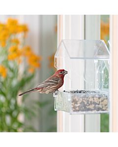 Perky-Pet® Dual-Seed Window Bird Feeder - 1 lb Seed Capacity