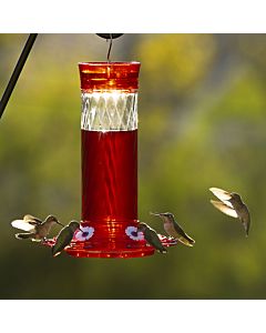 More Birds® Bird Health Diamond Glass Hummingbird Feeder with Ant Moat - 30 oz, Lifestyle