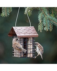 More Birds® Two Cake Suet Buffet Bird Feeder with Weather Guard, Lifestyle