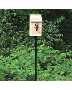 More Birds® Bluebird Bird House - 12.5 Inches Tall, Lifestyle