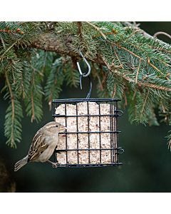 More Birds® Single Suet Cage Bird Feeder, Lifestyle