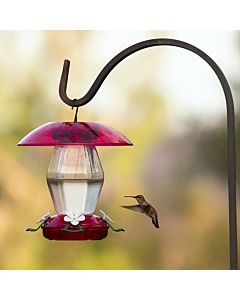More Birds® Plastic Jubilee Hummingbird Feeder with Ant Moat - 20 oz, Lifestyle