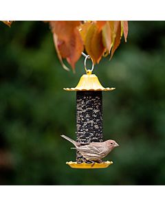 More Birds® Little-Bit Finch Screen Bird Feeder - .6 lb, LIfestyle