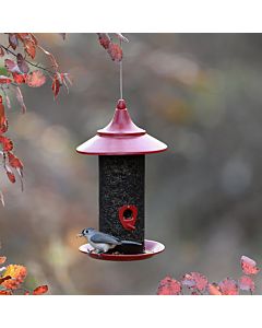 More Birds® Red Provincial Cardinal Screen Bird Feeder - 2.8 lb, Lifestyle