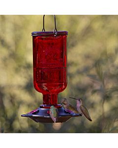 More Birds® Elixir Glass Hummingbird Feeder - 13 oz - Red, LIfestyle