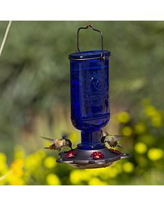 More Birds® Elixir Glass Hummingbird Feeder - 13 oz - Blue, lifestyle