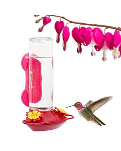 Perky-Pet® Window-Mounted Glass Hummingbird Feeder