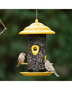 More Birds® Sedona Screen Bird Feeder - 2.8 lb, Lifestyle