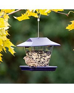 More Birds® Ranch Hopper Bird Feeder - 1.7 lb, Lifestyle