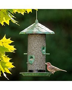 More Birds® Acorn Screen Bird Feeder - 2.8 lb, Lifestyle