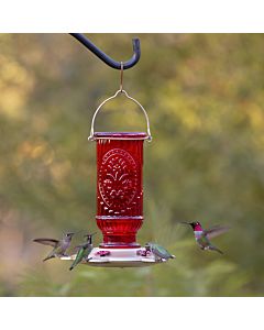 More Birds® Vintage Glass Hummingbird Feeder, Red - 20 oz, LIfestyle