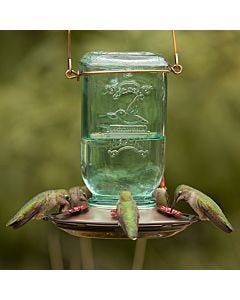 More Birds® Mason Jar Glass Hummingbird Feeder - 25 oz, Lifestyle