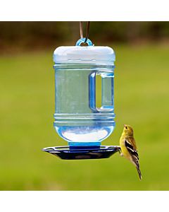 Perky-Pet&reg; Water Cooler Bird Waterer