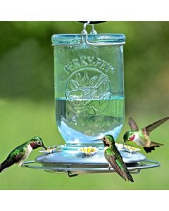 Perky-Pet® Mason Jar Hummingbird Feeder