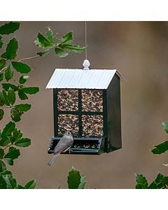 Squirrel-X X9 Squirrel-Resistant Bird Feeder with Spring-Loaded Perch - 6 lb, lifestyle