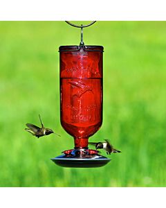 Perky-Pet® Antique Bottle Glass Hummingbird Feeder