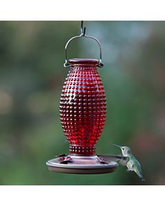 Perky-Pet® Red Hobnail Vintage Glass Hummingbird Feeder, LIfestyle 2