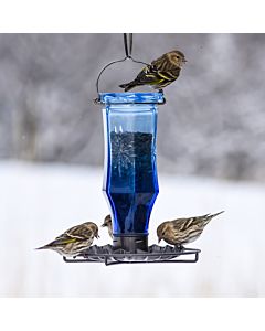 Perky-Pet® Sapphire Starburst Vintage Glass Bird Feeder - Lifestyle