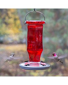 Perky-Pet® Ruby Starburst Vintage Glass Hummingbird Feeder, Lifestyle