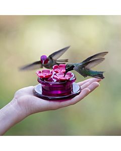 Perky-Pet® Handheld & Tabletop Hummingbird Feeder with Birds