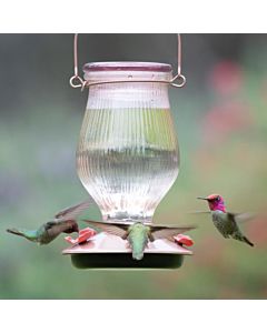 Perky-Pet® Rose Gold Top-Fill Glass Hummingbird Feeder