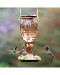 Perky-Pet® Sugar Maple Top-Fill Glass Hummingbird Feeder