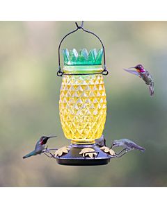 Mangeoire à colibris en verre pincé à la taille, 16 onces, de Perky-Pet 