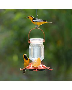 Perky-Pet® Oriole Top-Fill Feeder
