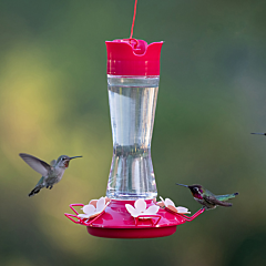 Perky-Pet® Top-Fill Pinch-Waist Glass Hummingbird Feeder