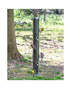 Droll Yankees® Classic B-Series Tube Bird Feeder - 4 lb, LIfestyle